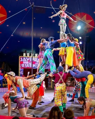 Circus Golden Star Tucson