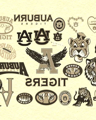 Auburn Tigers Basketball