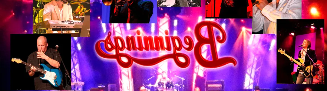 Beginnings - A Tribute To Chicago
