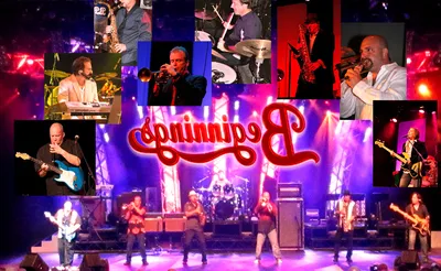 Beginnings - A Tribute To Chicago