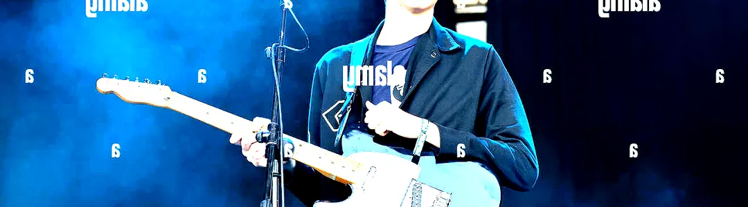 Car Seat Headrest
