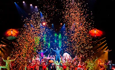 Cirque du Soleil - Ovo