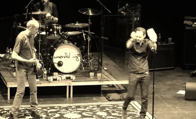 Gin Blossoms