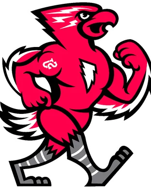 St. Johns Red Storm vs. Arizona Wildcats