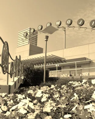 The Wildwoods