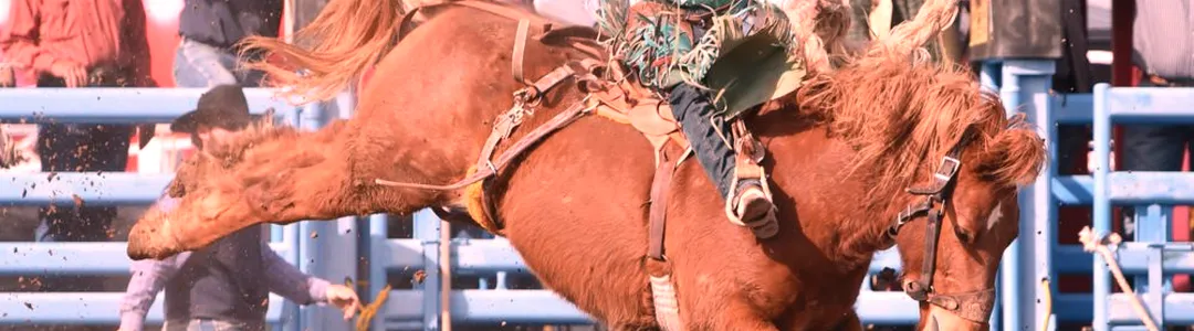 Tucson Rodeo