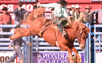 Tucson Rodeo