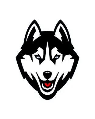 UConn Huskies