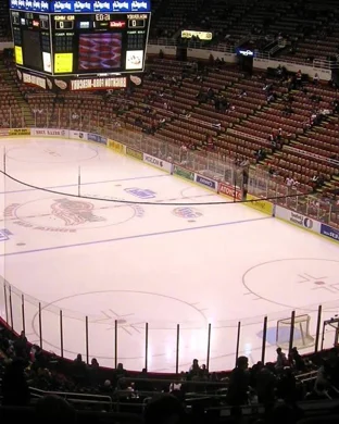 Tucson Roadrunners Tucson